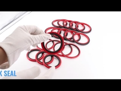 أختام خطوة من SPGO Glyd Seal HBTS